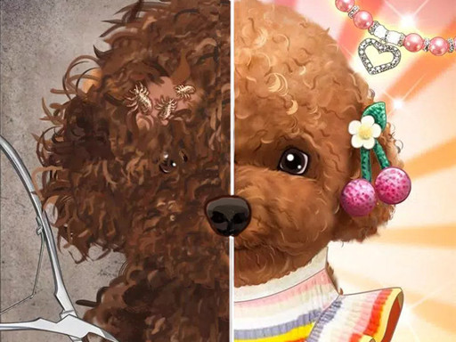 Pet Makeup Master gameplay